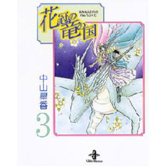 花冠の竜の国　３