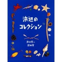 浜辺のコレクション