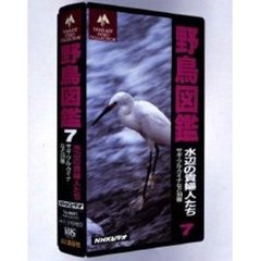 ビデオ　野鳥図鑑　　　７