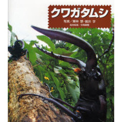 クワガタムシ