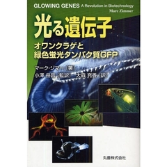 光る遺伝子　オワンクラゲと緑色蛍光タンパク質ＧＦＰ