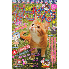ねこぱんち　にじいろ号