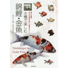 水槽で楽しむ錦鯉・金魚　横から鑑賞。日本の伝統魚の新しい飼育スタイル