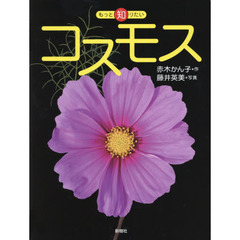 コスモス