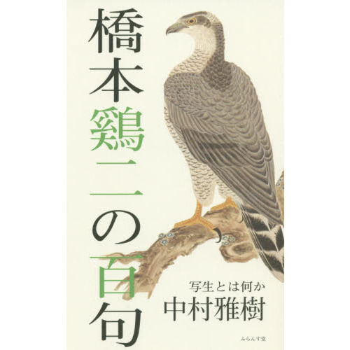 ֥ͥåȥåԥ󥰤㤨ֶɴ硡ȤϲפβǤʤ1,650ߤˤʤޤ