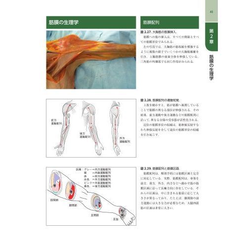 小川大輔筋膜マニピュレーション 実践編 レベル1 原著第2版 - 健康/医学