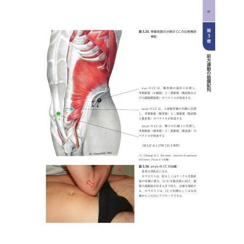 筋膜マニピュレーション 実践編 レベル1 原著第2版 - 健康/医学