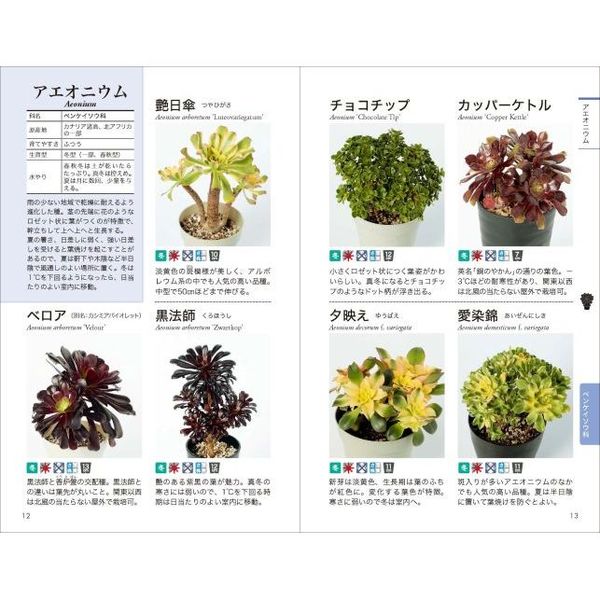 多肉植物図鑑 育て方 ふやし方がひと目で分かる 通販 セブンネットショッピング