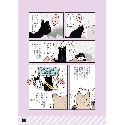 黒猫ろんと暮らしたら 6 通販｜セブンネットショッピング
