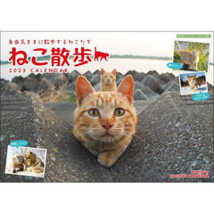 ’２５　中山祥代ねこ散歩カレンダー