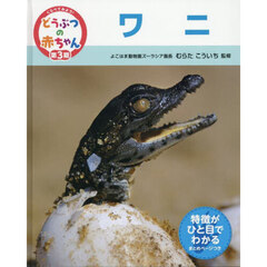 くらべてみよう！どうぶつの赤ちゃん　２４　ワニ