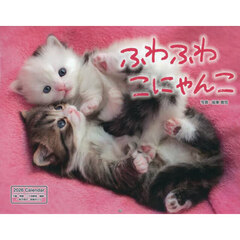 カレンダー　’２６　ふわふわこにゃんこ