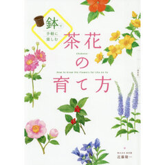 鉢で手軽に楽しむ茶花の育て方