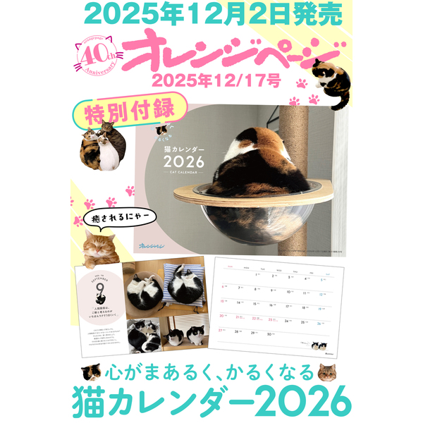 ֥ͥåȥåԥ󥰤㤨֥󥸥ڡ2025ǯ1217פβǤʤ889ߤˤʤޤ