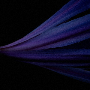 ֥ͥåȥåԥ󥰤㤨photongravitonפβǤʤ2,200ߤˤʤޤ