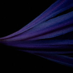 photon　／　graviton