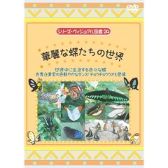 シリーズ・ヴィジアル図鑑 24 華麗な蝶たちの世界（ＤＶＤ）