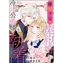 離婚予定の契約婚なのに、冷酷公爵様に執着されています（分冊版）番外編　【第9.5話】