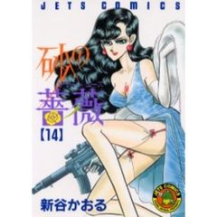 砂の薔薇　　１４