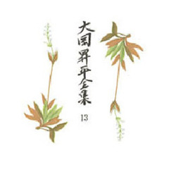 大岡昇平全集　１３