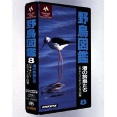 ビデオ　野鳥図鑑　　　８