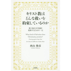 キリスト教はどんな救いを約束しているのか　愛の福音が真価を発揮するための一石