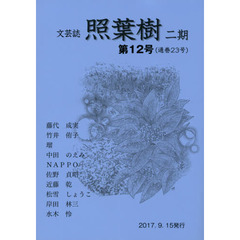 照葉樹　２期　　１２