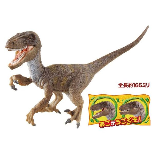 Schleich Dinosaurs 大恐竜コレクションBOX ベロキラプトル 通販