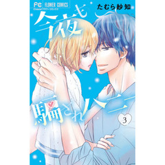 今夜も騙されハニー　ｅｃｓｔａｓｙ　ｈｏｌｉｃ　３