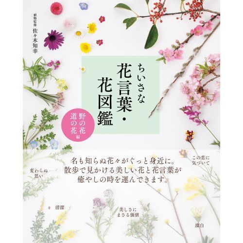 豆本　なぞなぞ　占い　図鑑　花ことば　辞典　7冊セット Amazon.co.jp: 豆本 7冊 セット なぞなぞ 占い 図鑑 漢字 : おもちゃ