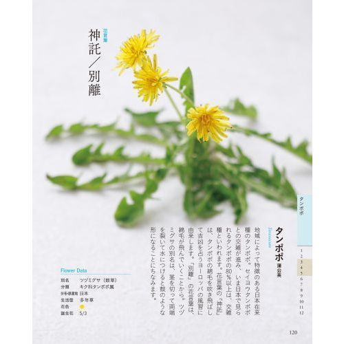 ちいさな花言葉・花図鑑　野の花・道の花編