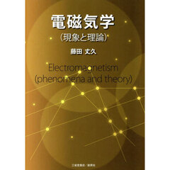 電磁気学〈現象と理論〉