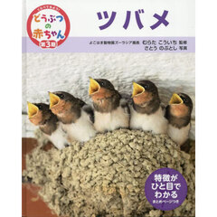くらべてみよう！どうぶつの赤ちゃん　２５　ツバメ