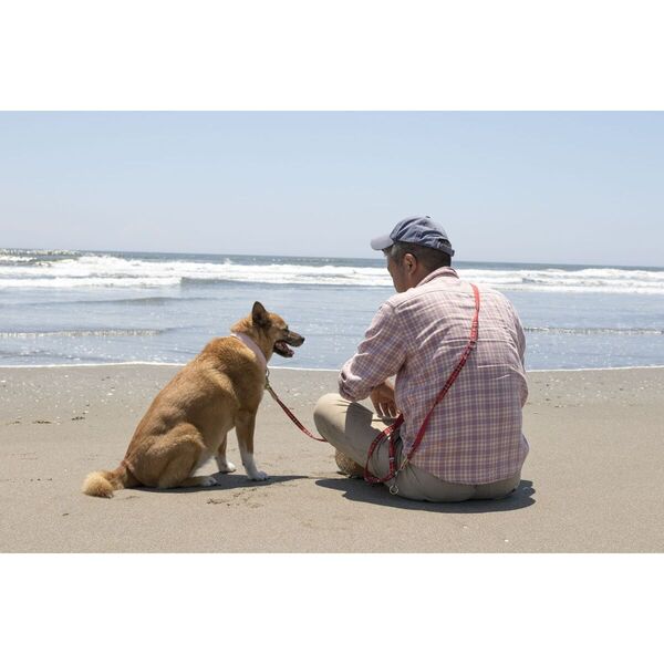 海辺の犬。トシさんとララ子の物語 海辺の犬。トシさんとララの物語 宝島社 - メルカリ