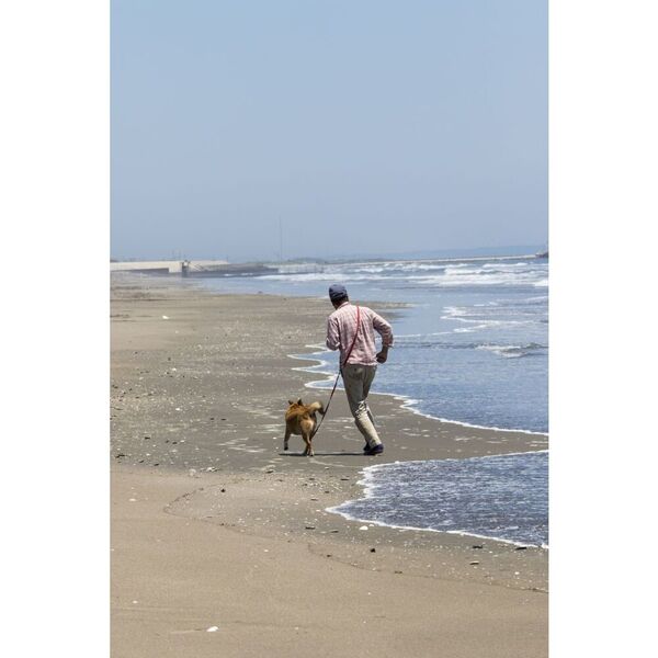 海辺の犬。トシさんとララ子の物語 海辺の犬。 (TJMOOK) | トシ |本 | 通販 | Amazon