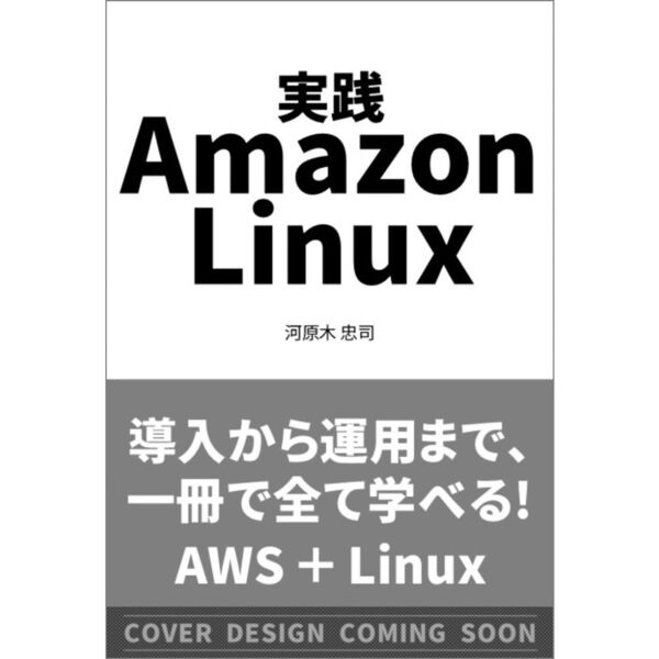 ֥ͥåȥåԥ󥰤㤨ּ Amazon LinuxפβǤʤ3,520ߤˤʤޤ