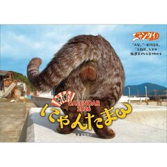 にゃんたまカレンダー2026／芳澤ルミ子　2026年カレンダー