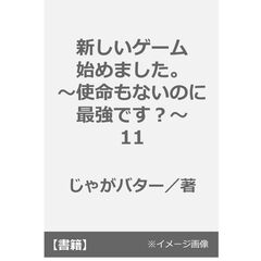 新しいゲーム始めました。～使命もないのに最強です？～11