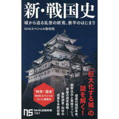 新・戦国史　城から迫る乱世の終焉、泰平のはじまり