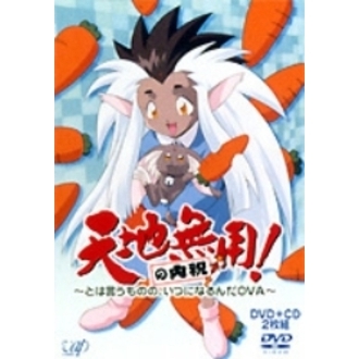 天地無用！の内祝 ～とは言うものの、いつになるんだOVA～（ＤＶＤ）