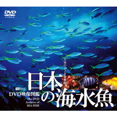 日本の海水魚 映像図鑑（ＤＶＤ）