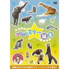 どうぶつスター誕生！（ＤＶＤ）