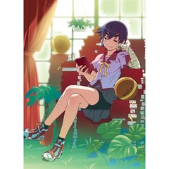 化物語の通販・価格比較 - 価格.com