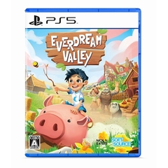 PS5　Everdream Valley