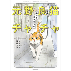 元野良猫チャチャ　本日も見まわり中