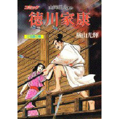 徳川家康　コミック　１３　流星の章