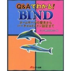 Ｑ＆Ａでわかる！ＢＩＮＤ　ネームサーバの基本からバーチャルドメイン設定まで