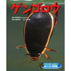 ドキドキいっぱい！虫のくらし写真館　１８　ゲンゴロウ