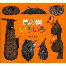 鳥の巣いろいろ