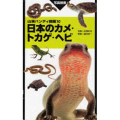 日本のカメ・トカゲ・ヘビ　写真検索